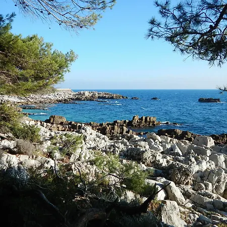 Miramar- Cap D'antibes - La Garoupe Hotel 3*