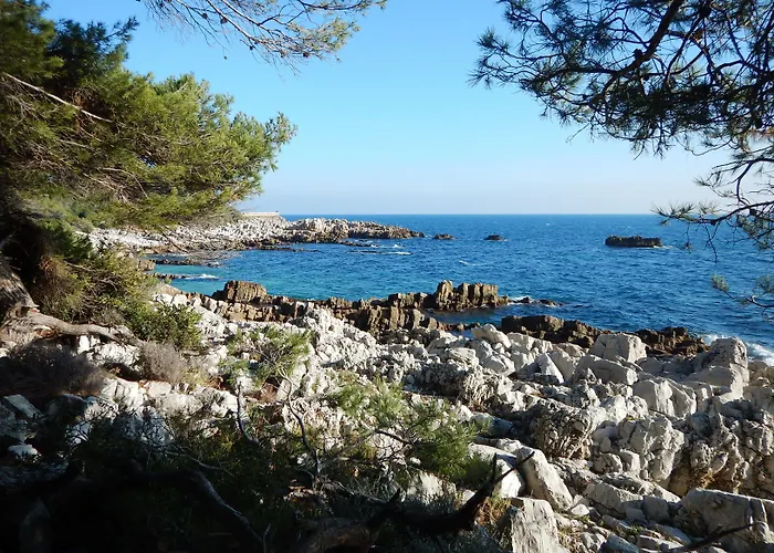 酒店 Miramar- Cap D'antibes - La Garoupe