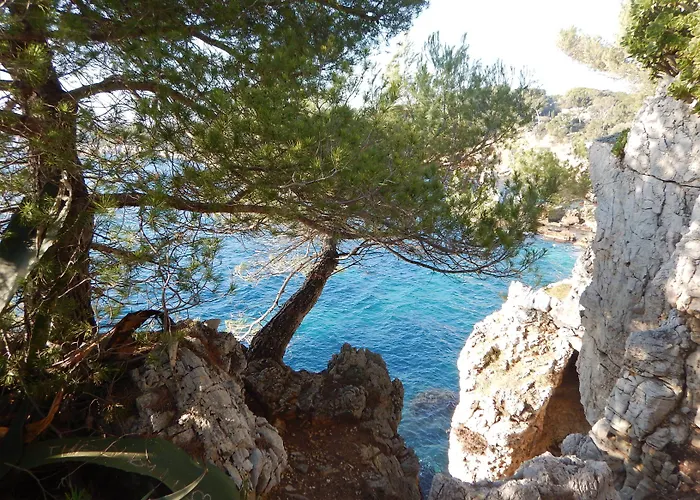 Miramar- Cap D'antibes - La Garoupe 酒店 3*