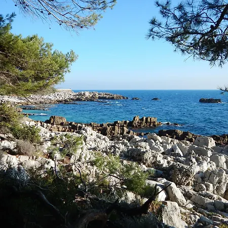 酒店 Miramar- Cap D'antibes - La Garoupe