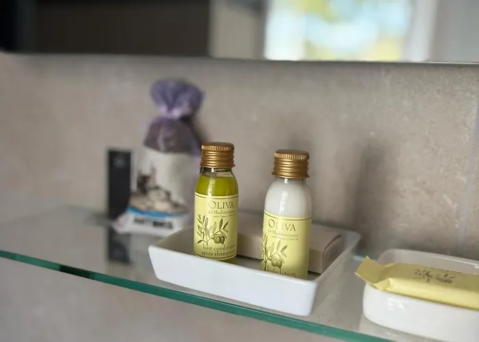 Miramar- Cap D'antibes - La Garoupe מלון 3*